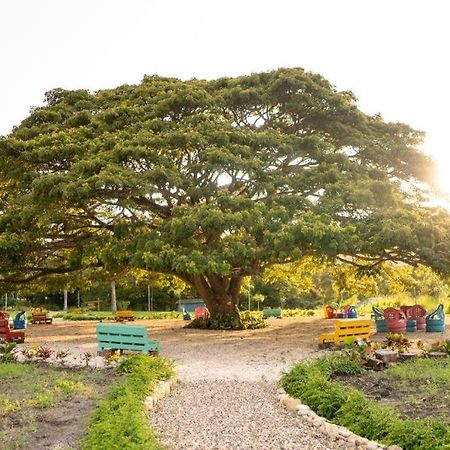 Hacienda La Huerta, Puerto Plata Vila Exterior foto