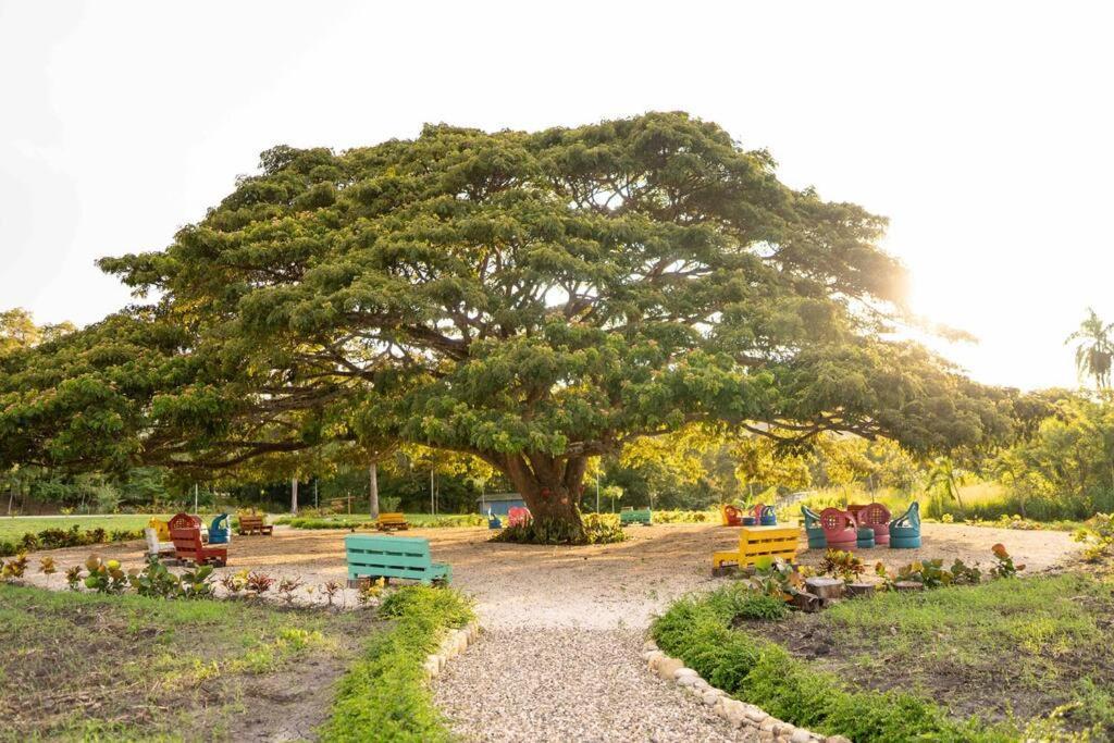 Hacienda La Huerta, Puerto Plata Vila Exterior foto